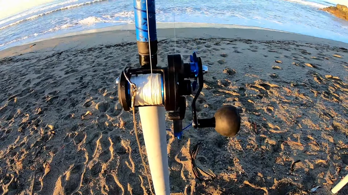  rig for surf fishing 