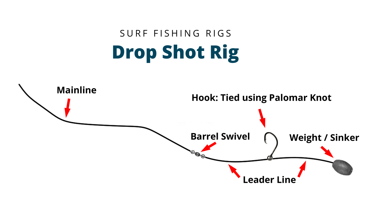 Drop Shot Rig