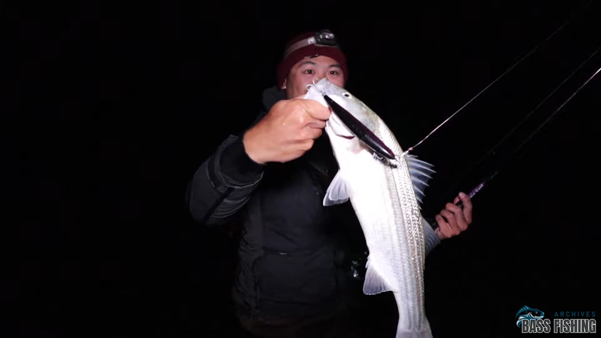 surf fishing at night