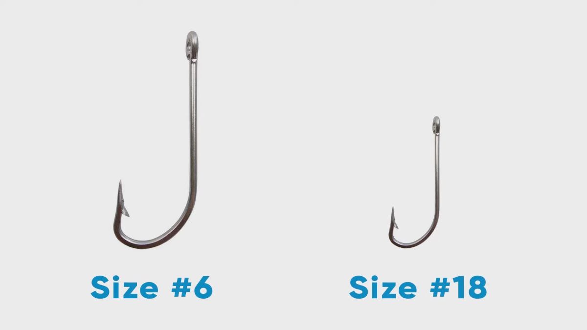 what size circle hook for fishing