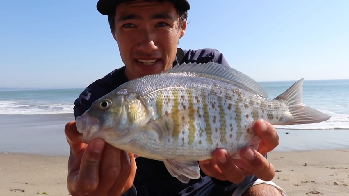 what size hook for surf perch fishing