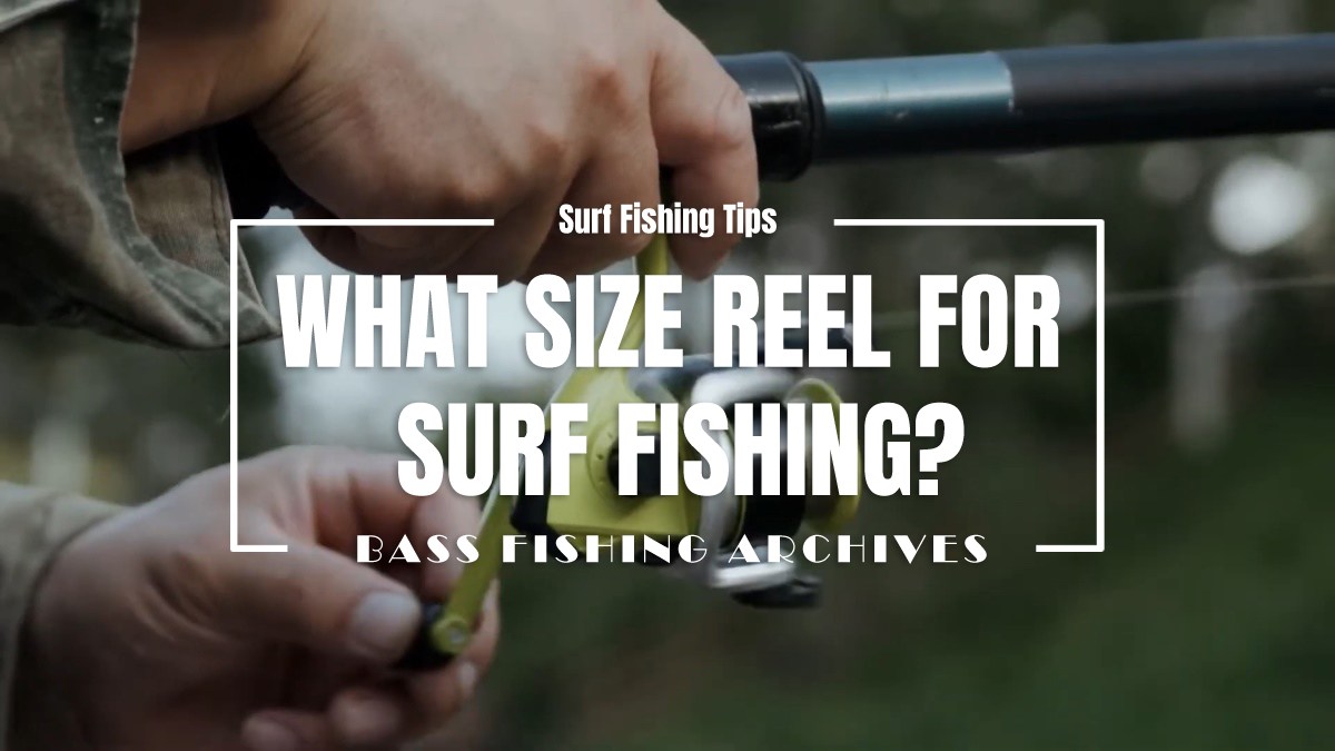 what size reel for surf fishing